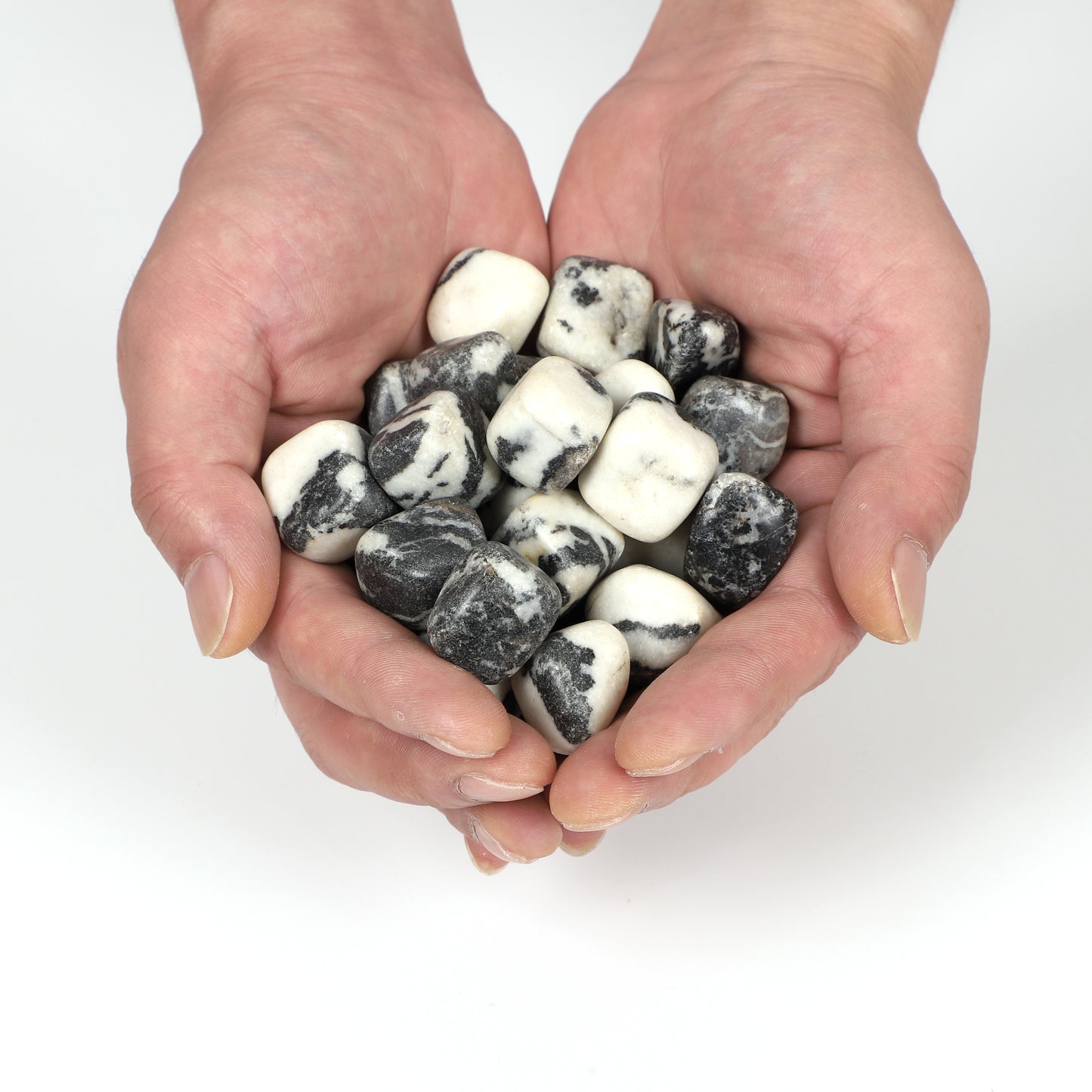 zebra jasper
