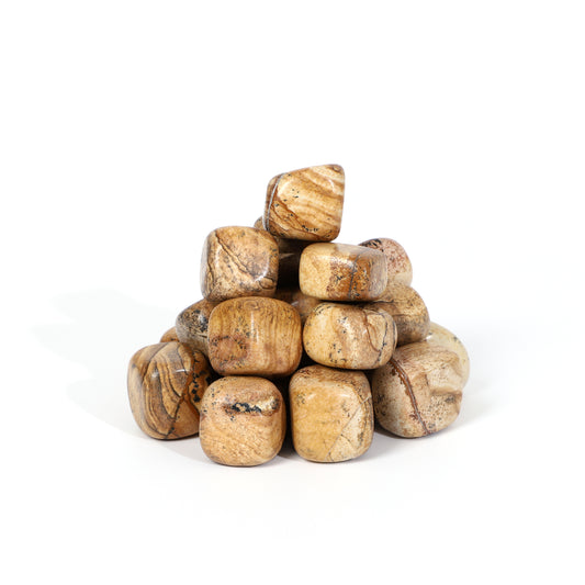 picture jasper